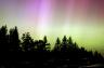 auroraimage3.jpg